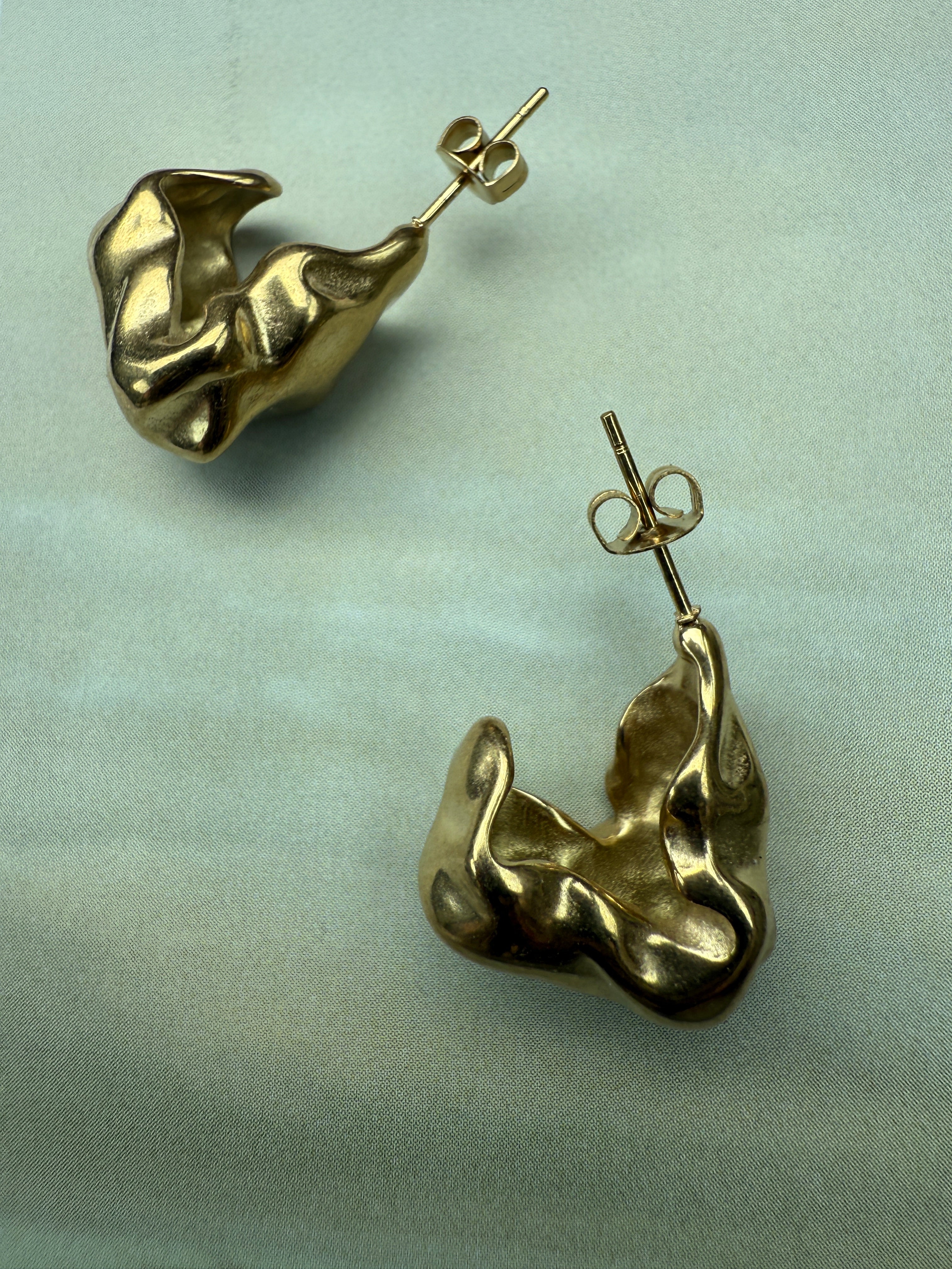 STAINLESS STEEL Earrings Loos