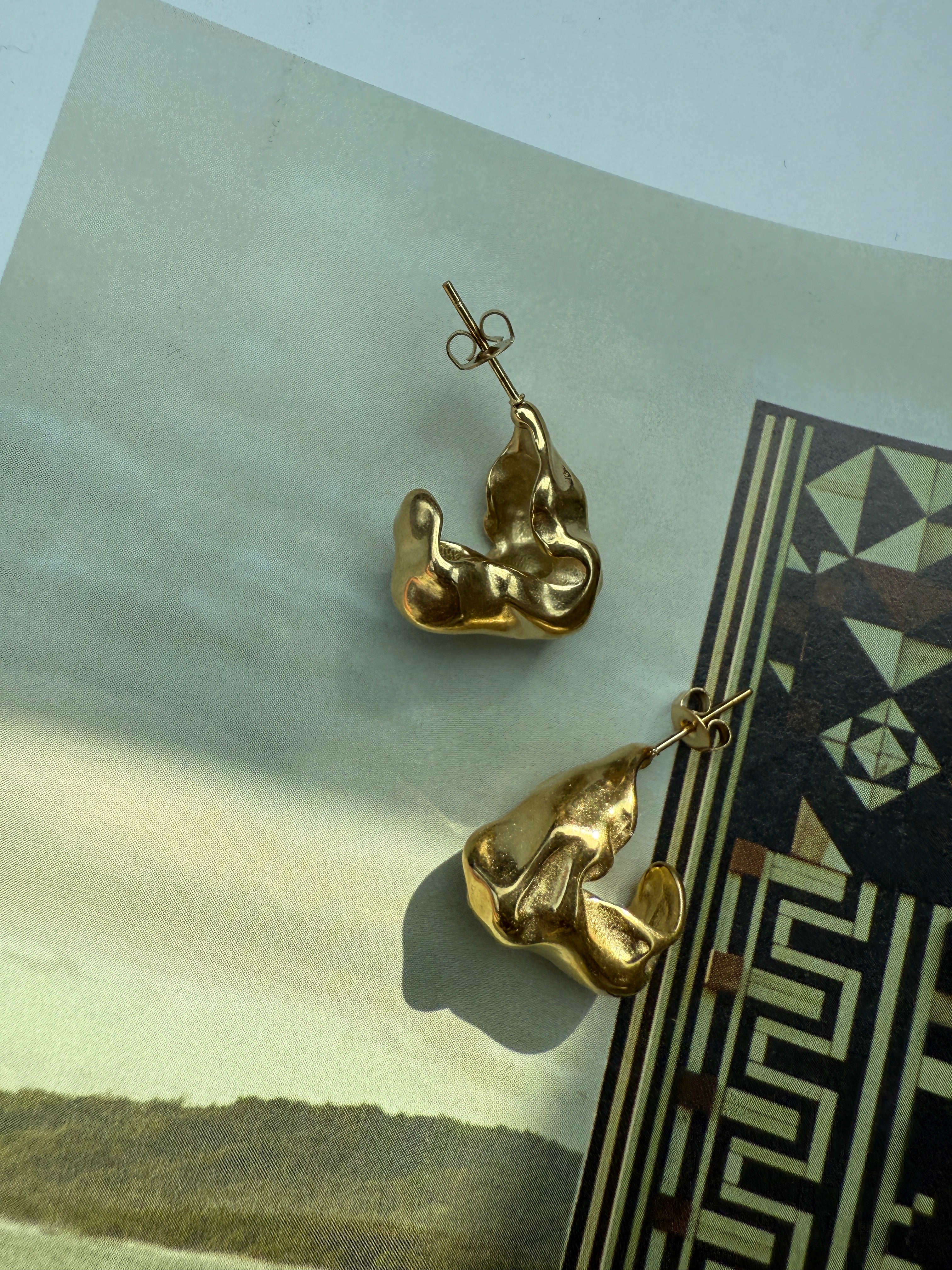 STAINLESS STEEL Earrings Loos