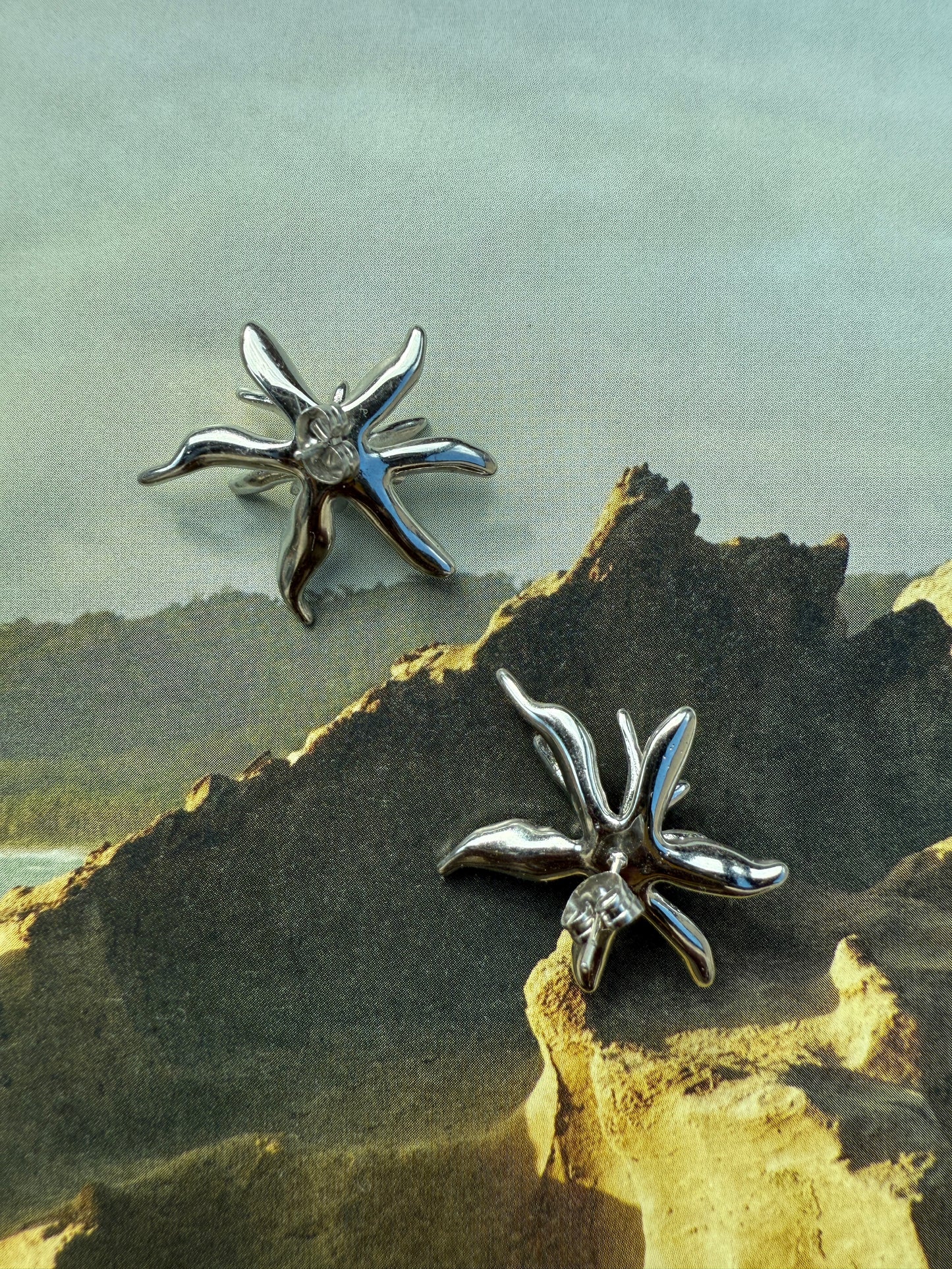 Earrings Strella / Stainless Steel