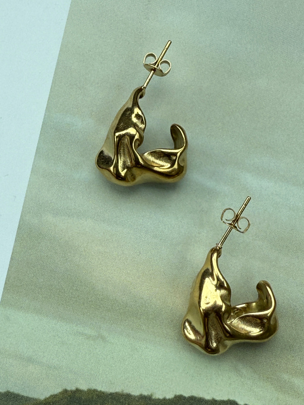 STAINLESS STEEL Earrings Loos