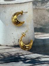 Earrings Tenty