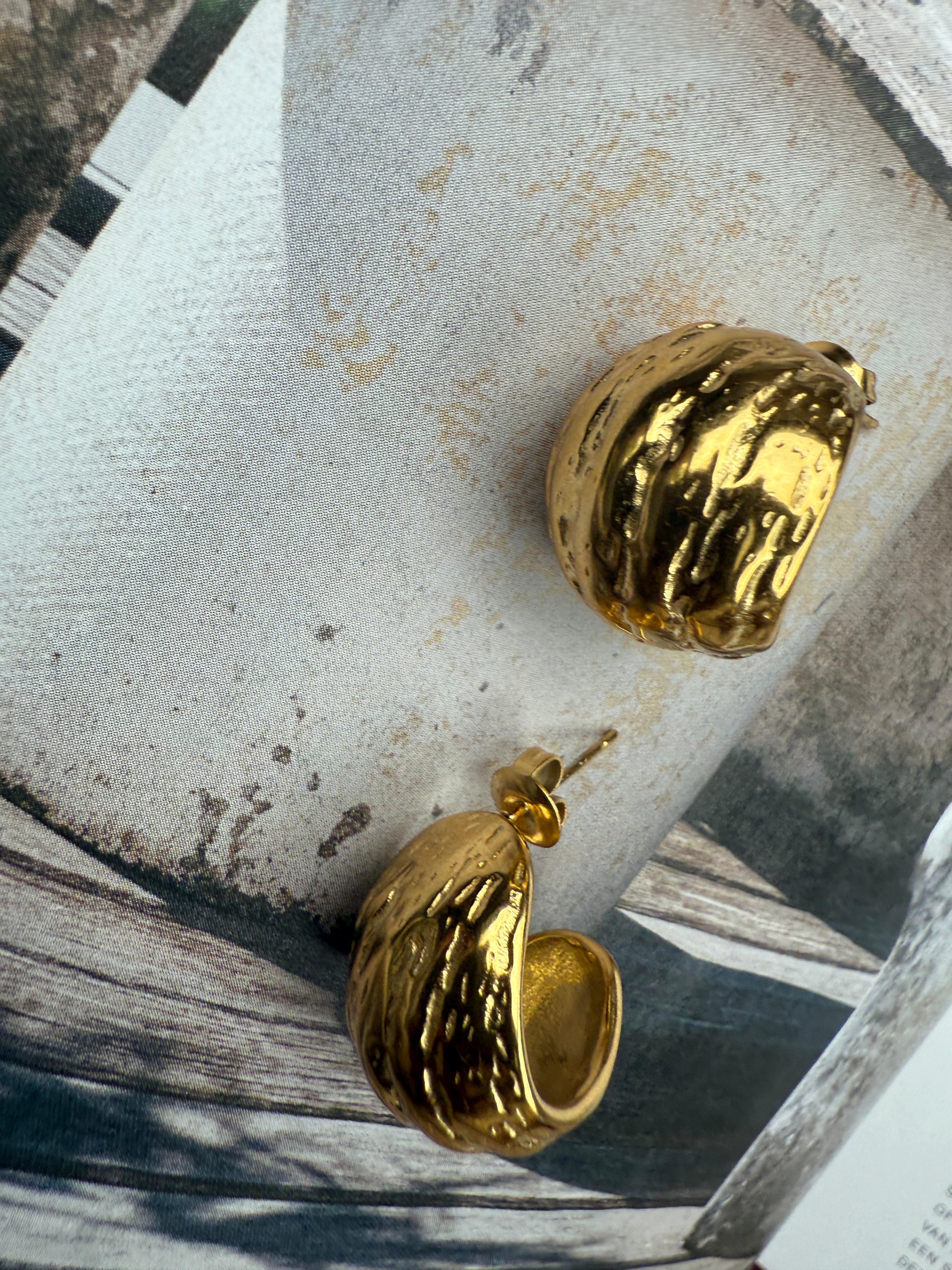 STAINLESS STEEL EARRINGS Tenty