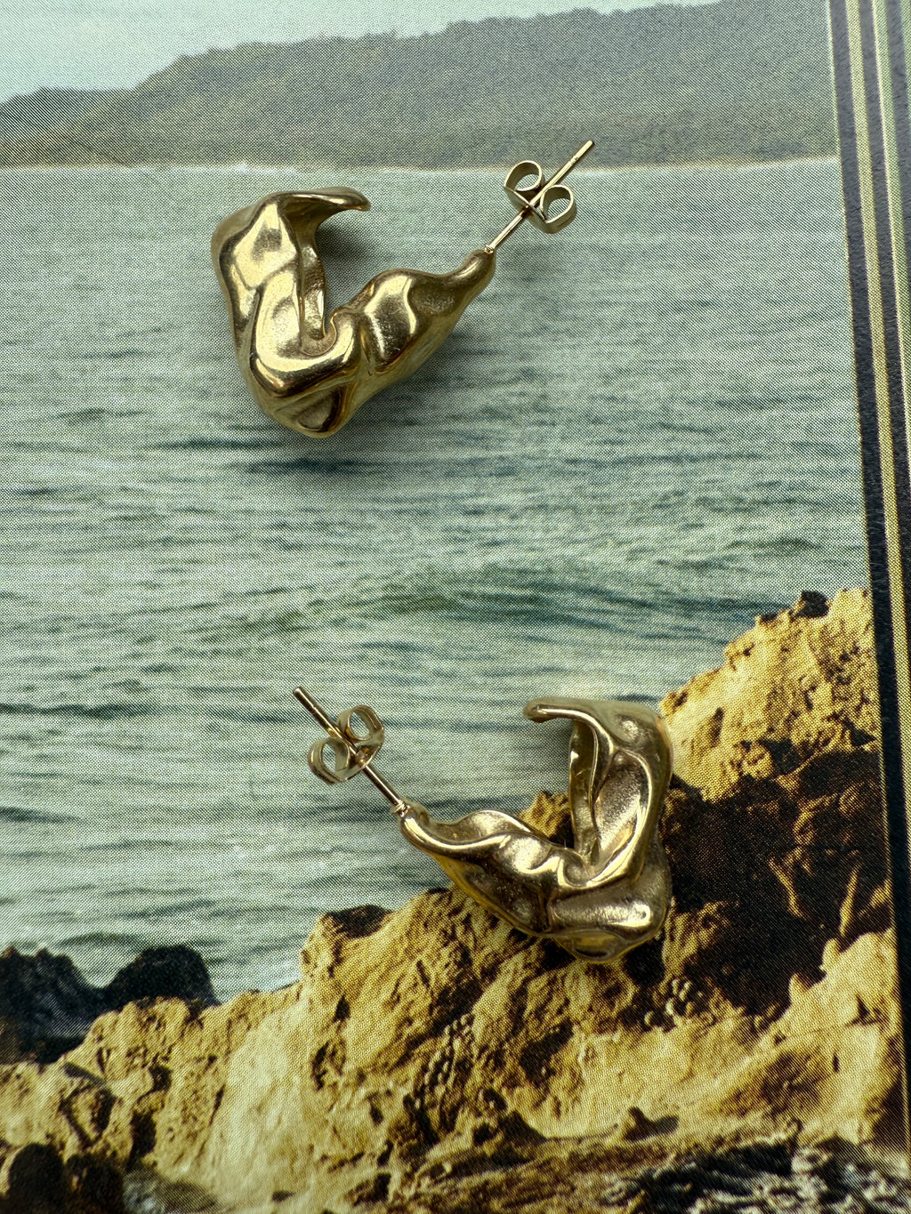 STAINLESS STEEL Earrings Loos