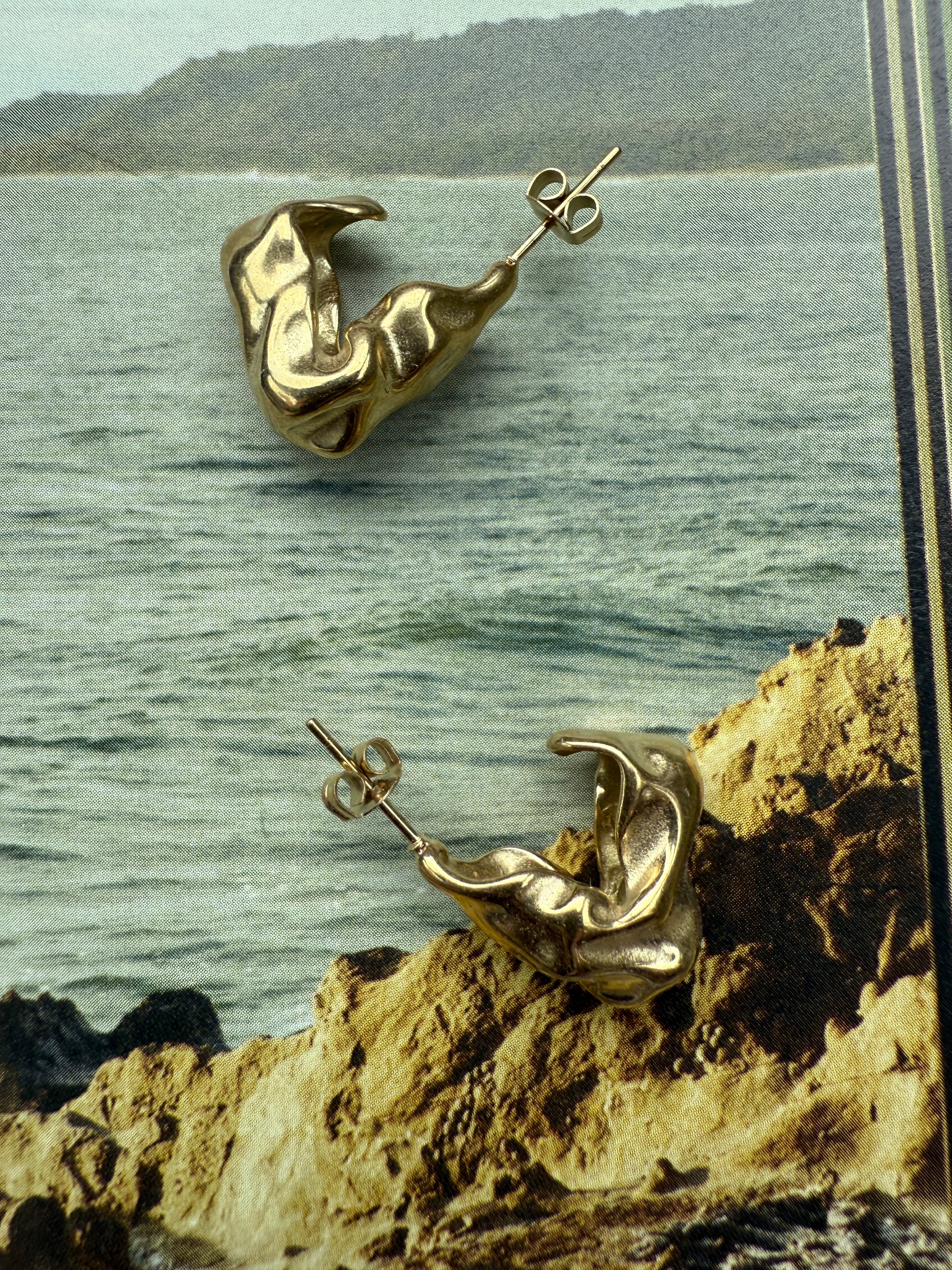 STAINLESS STEEL Earrings Loos