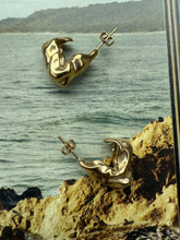 Earrings Loos