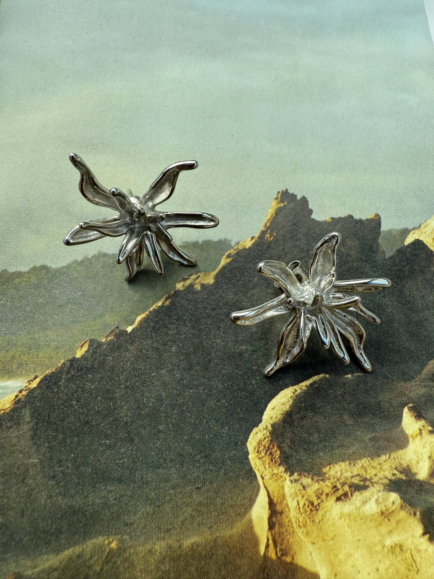 Earrings Strella / Stainless Steel