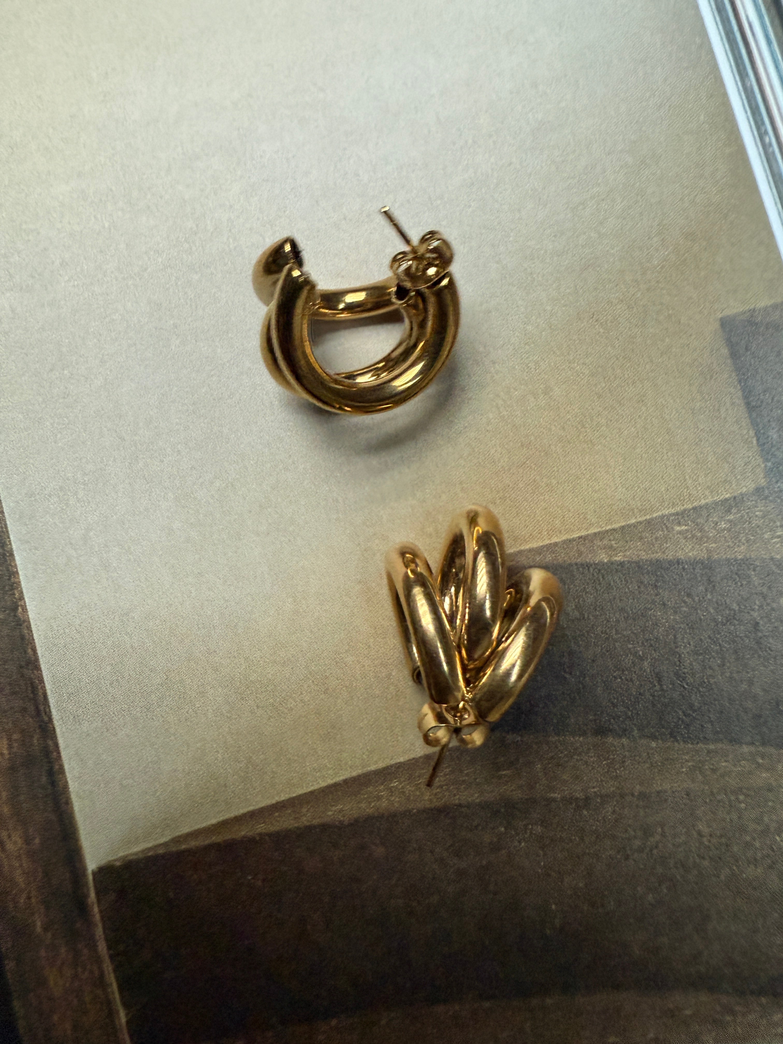 STAINLESS STEEL ALYNE earrings