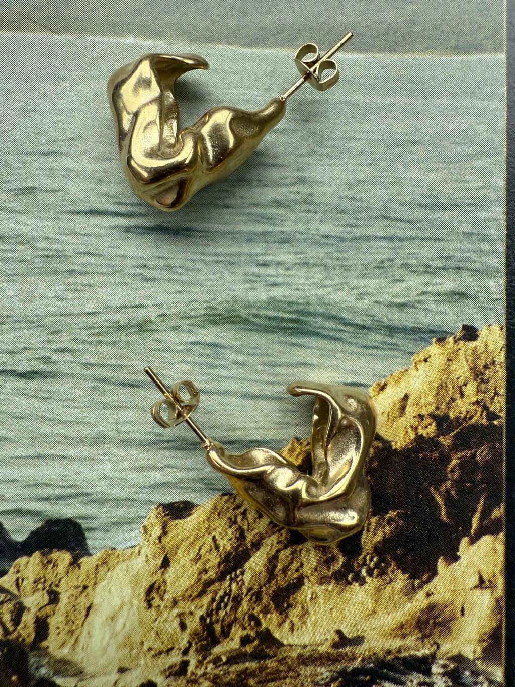 STAINLESS STEEL Earrings Loos