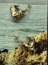 Earrings Loos