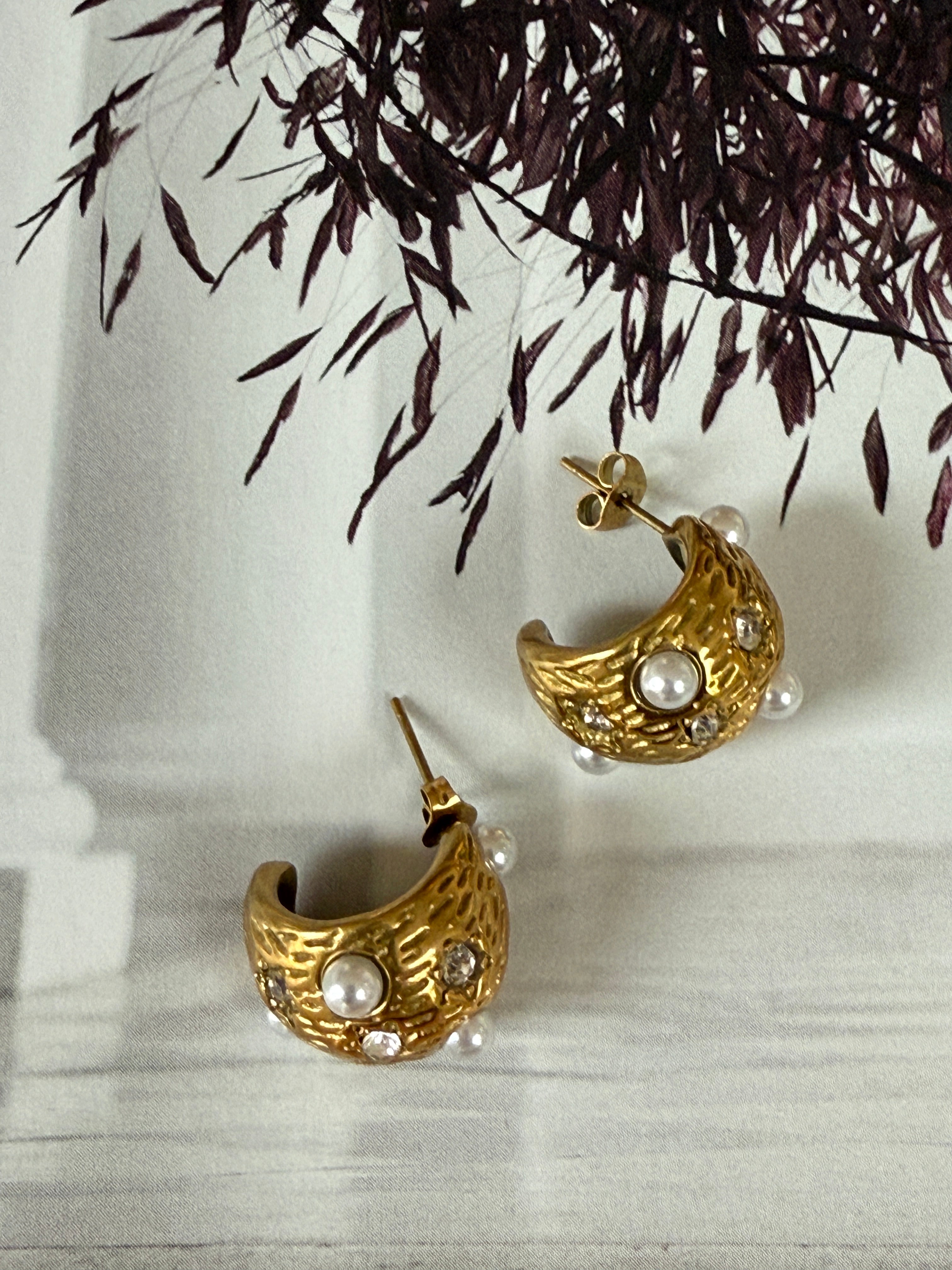 STAINLESS STEEL Earrings Boogie