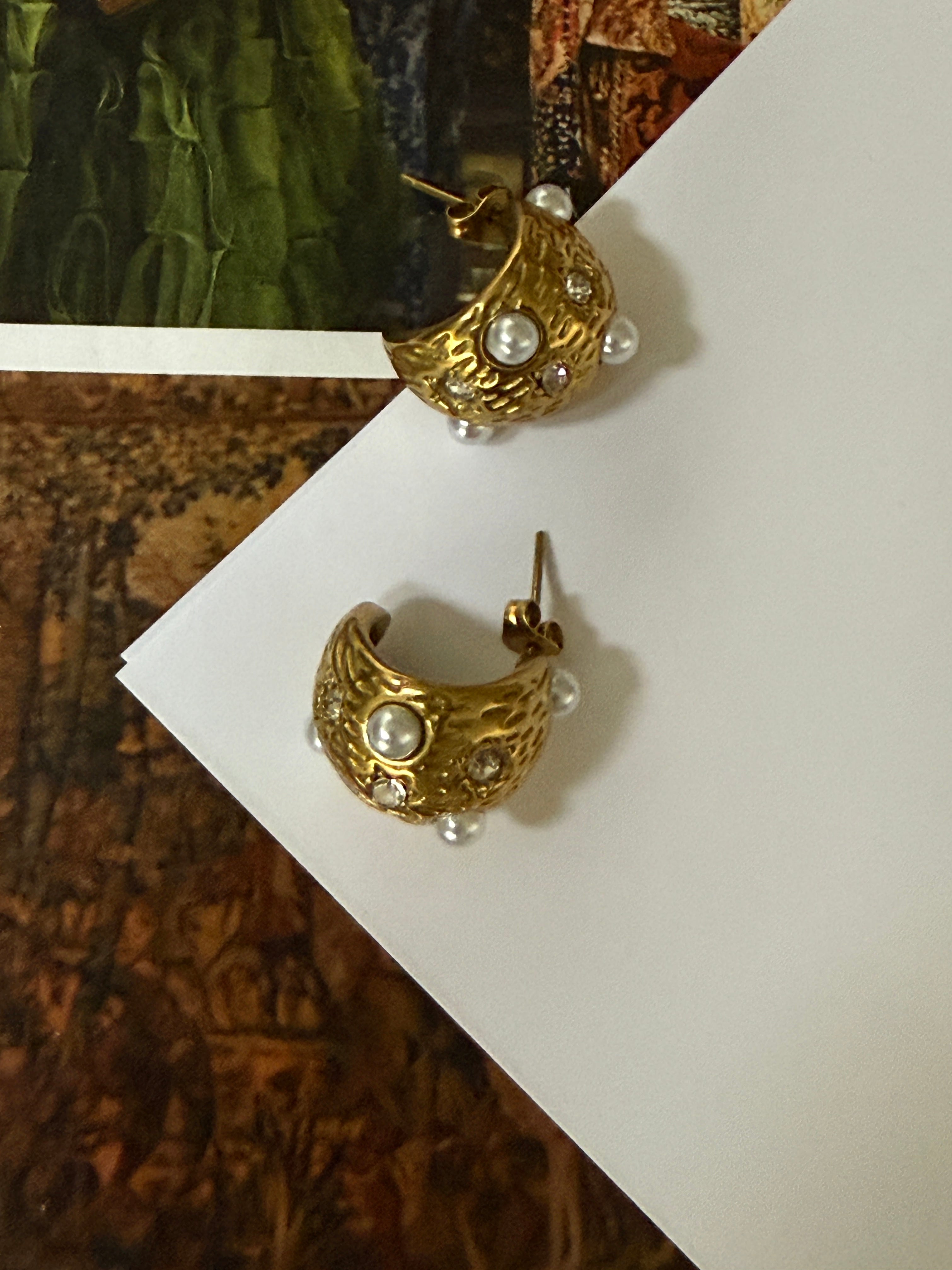 STAINLESS STEEL Earrings Boogie