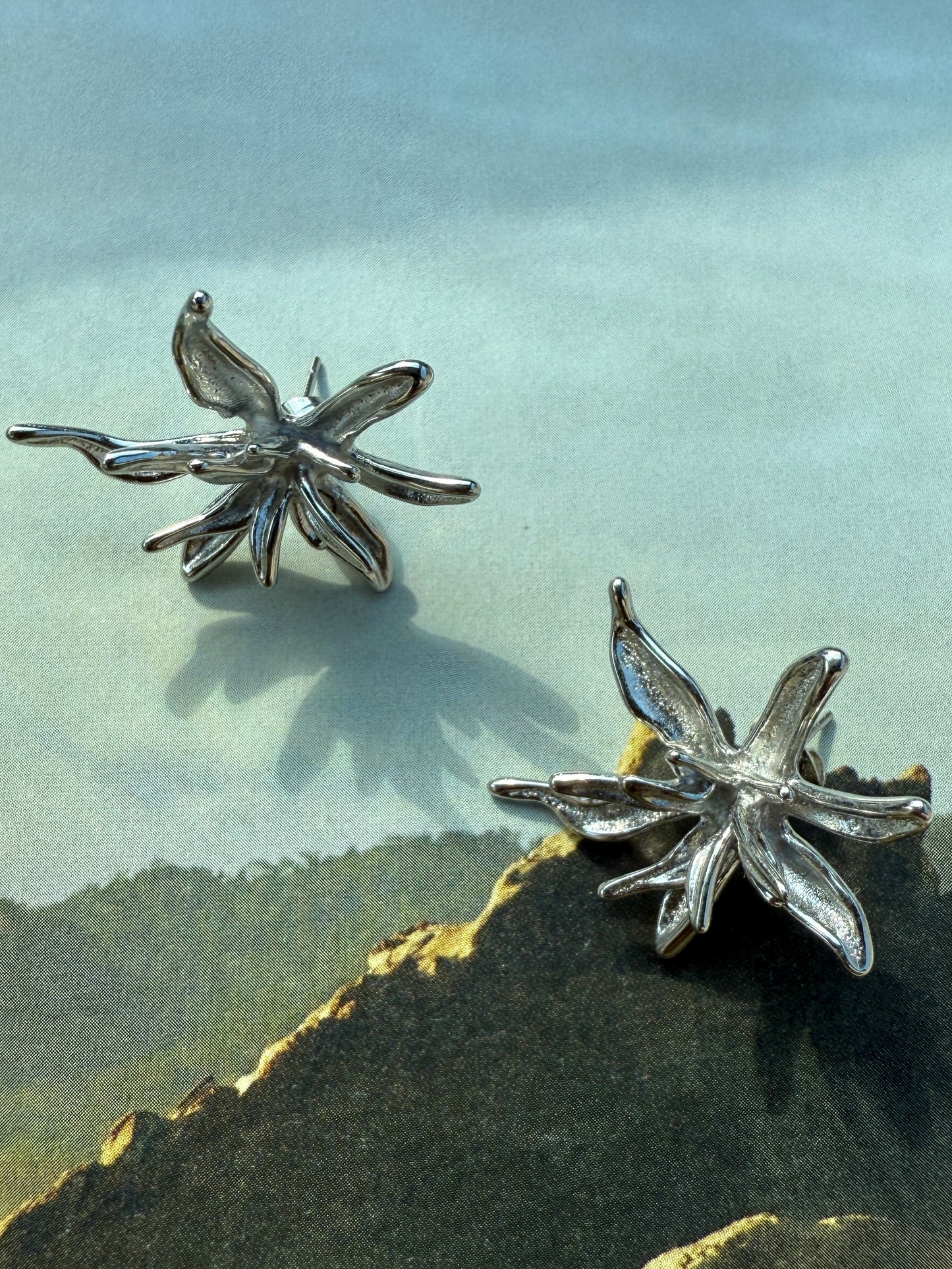 Earrings Strella / Stainless Steel