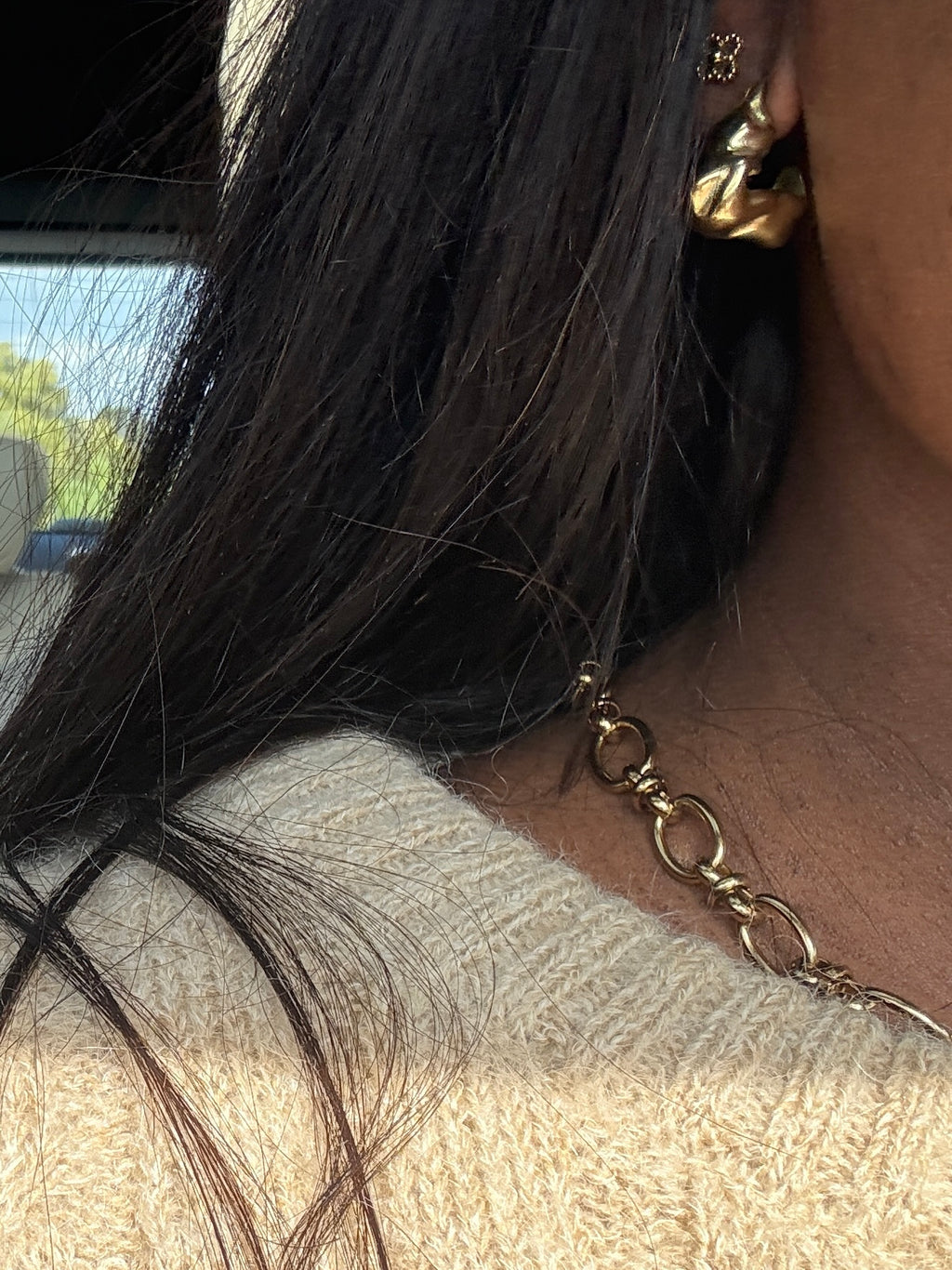 STAINLESS STEEL Earrings Loos