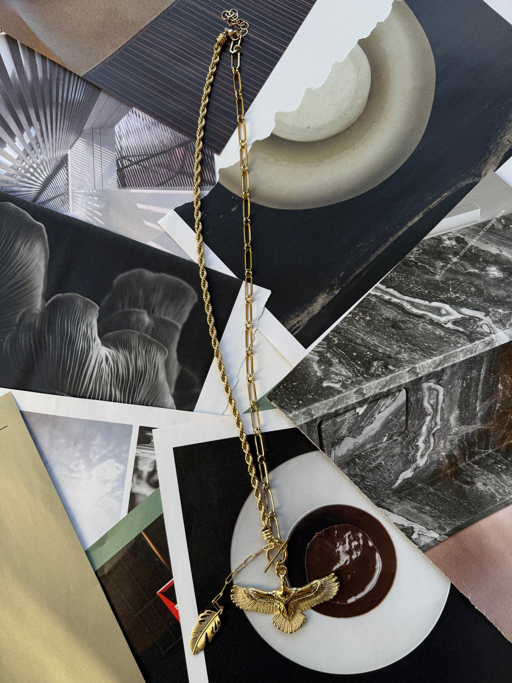 STAINLESS STEEL COLLIER