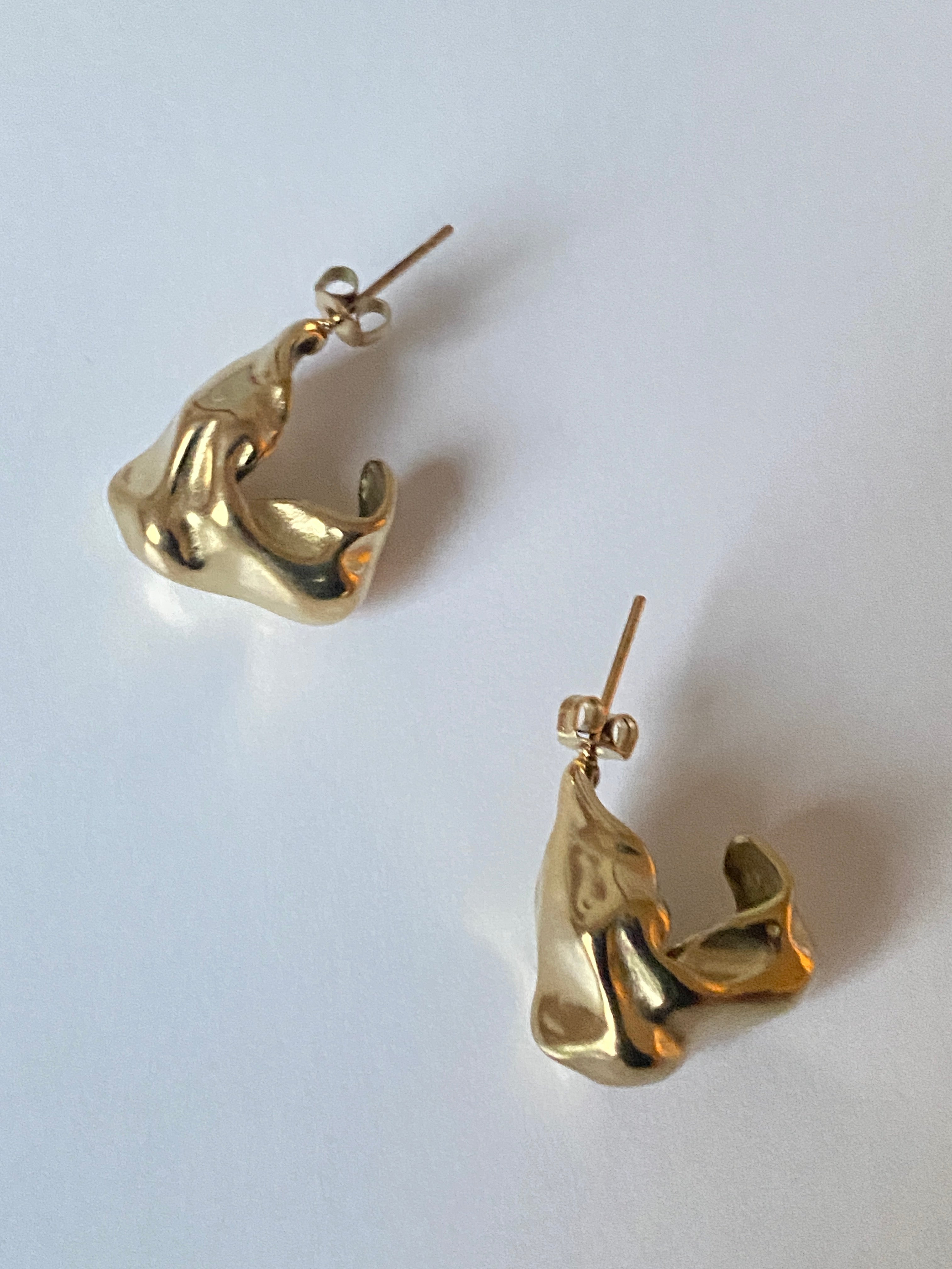 STAINLESS STEEL Earrings Loos