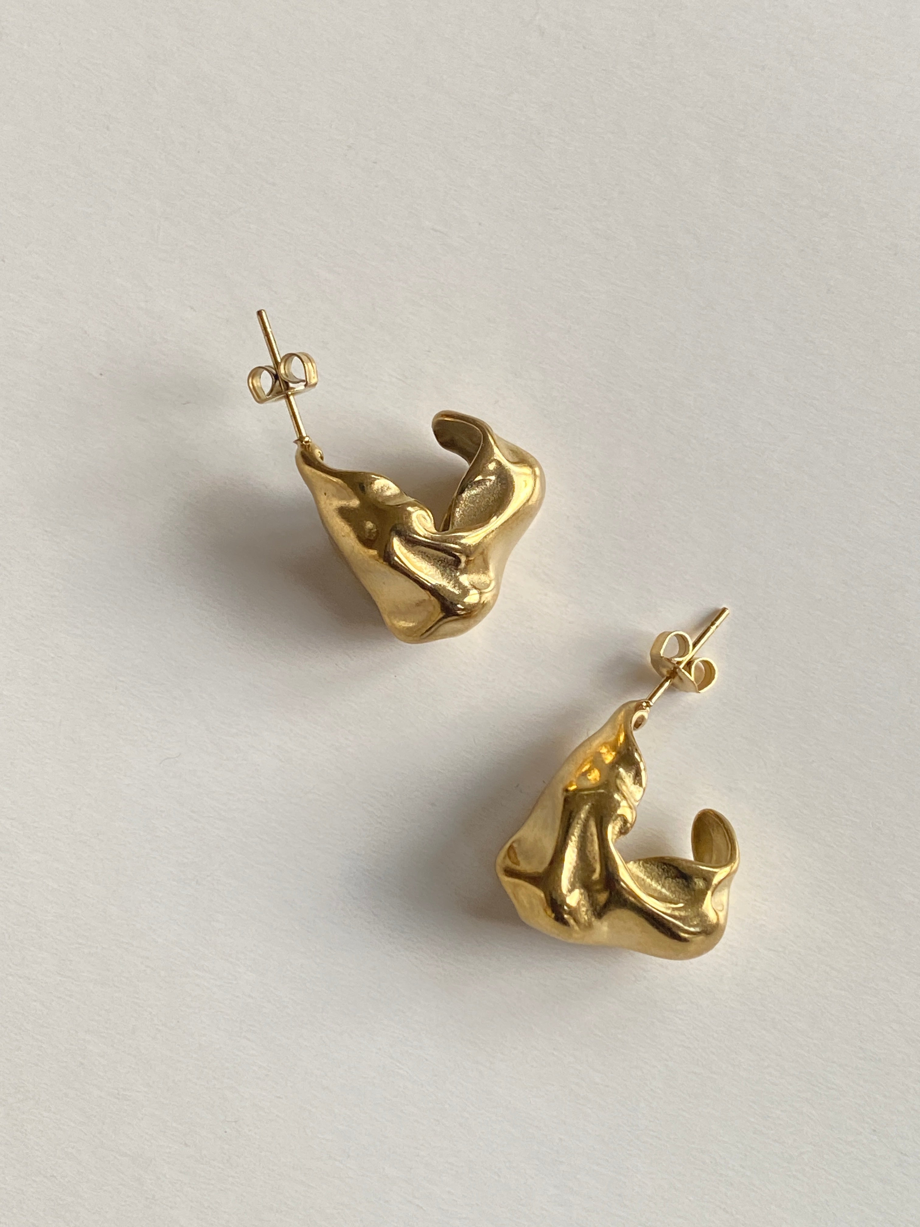 STAINLESS STEEL Earrings Loos