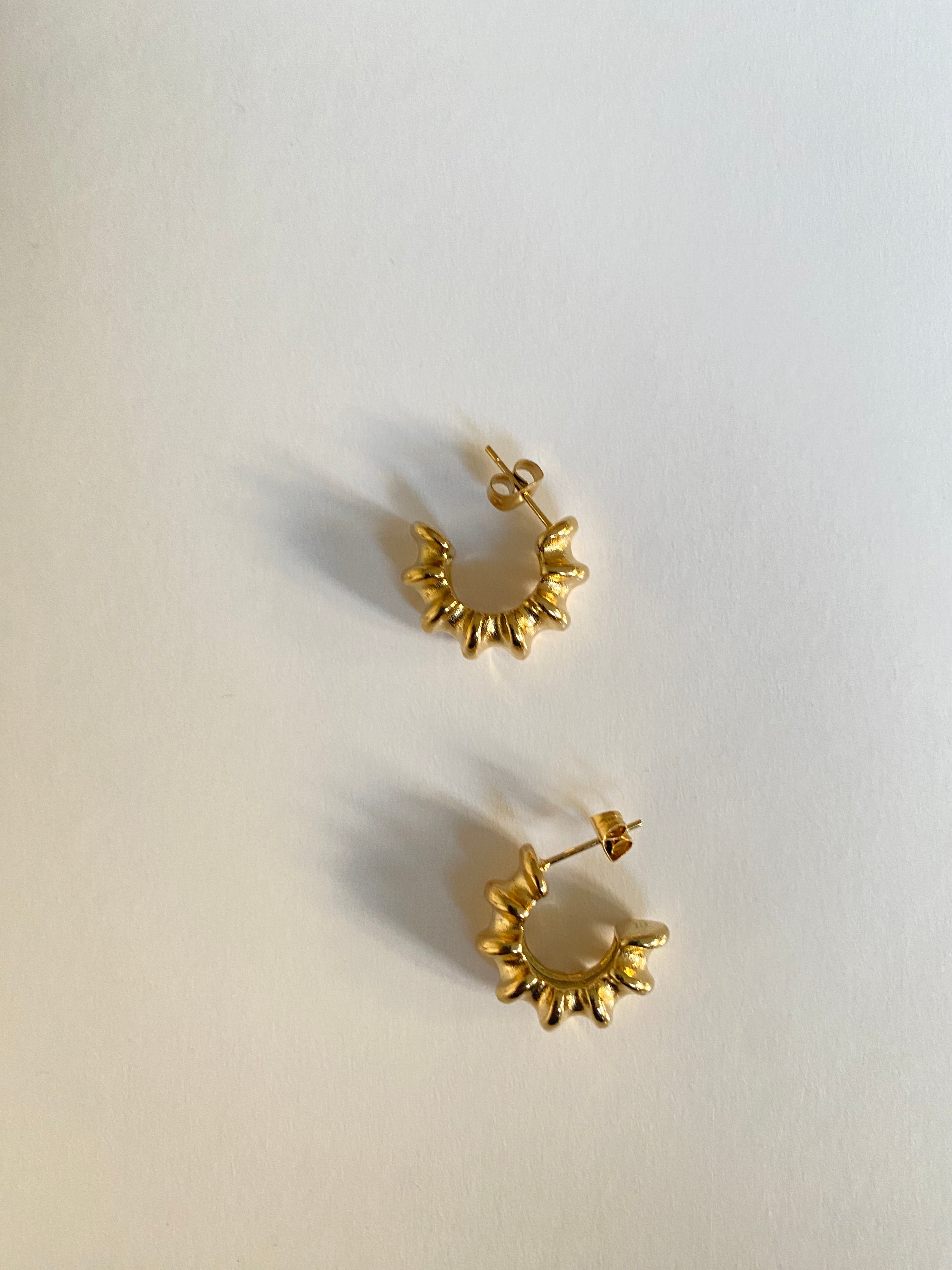 STAINLESS STEEL Earrings Faye