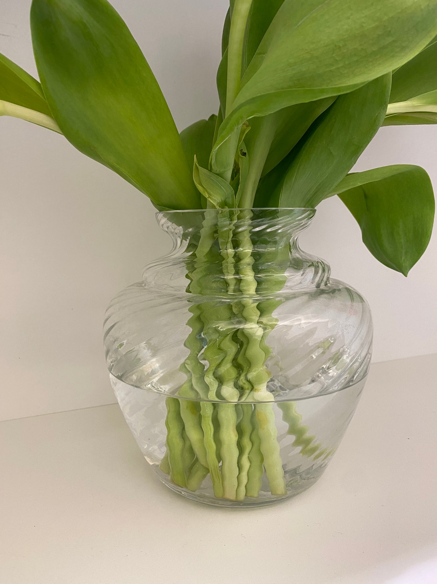 TURBILLON VASE