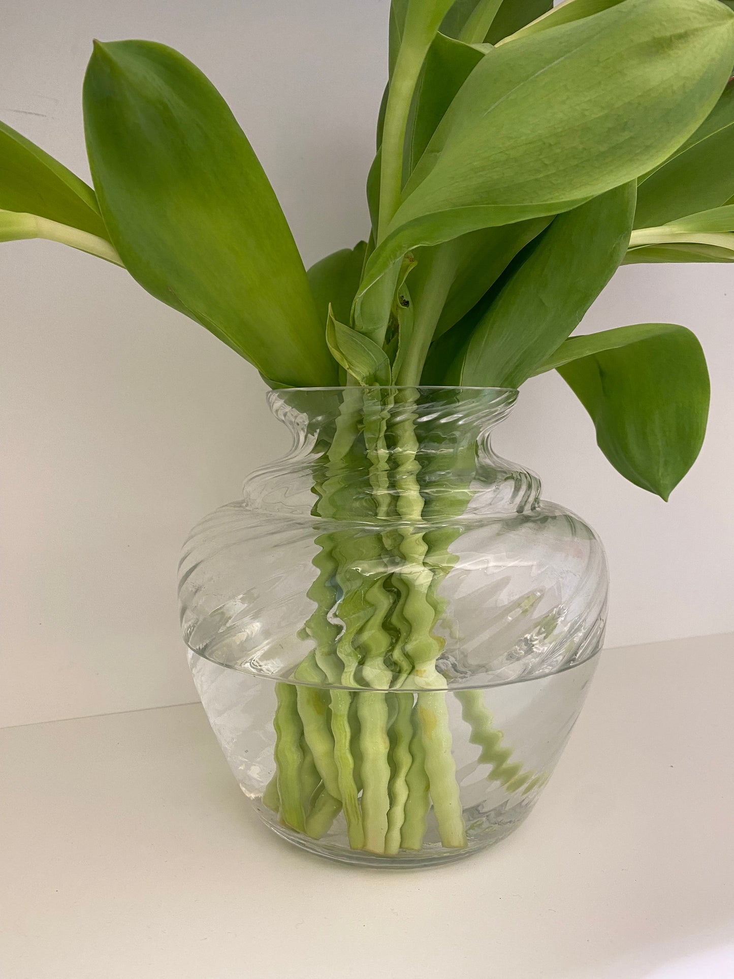 TURBILLON VASE